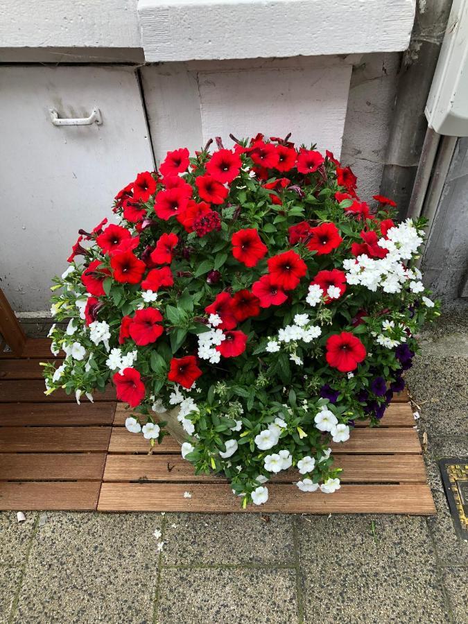 Sint Andries Duplex Anvers